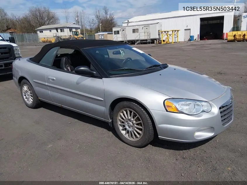 2005 Chrysler Sebring Touring VIN: 1C3EL55R35N503442 Lot: 44876151