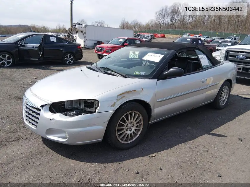 2005 Chrysler Sebring Touring VIN: 1C3EL55R35N503442 Lot: 44876151