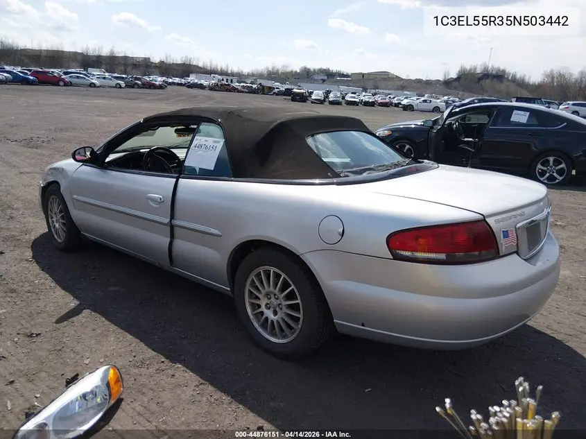 2005 Chrysler Sebring Touring VIN: 1C3EL55R35N503442 Lot: 44876151