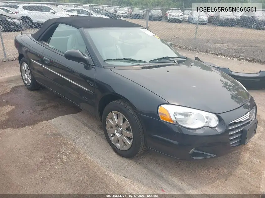 2005 Chrysler Sebring Limited VIN: 1C3EL65R65N666561 Lot: 45654777