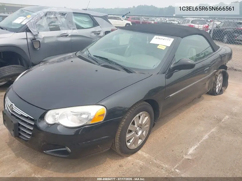 2005 Chrysler Sebring Limited VIN: 1C3EL65R65N666561 Lot: 45654777