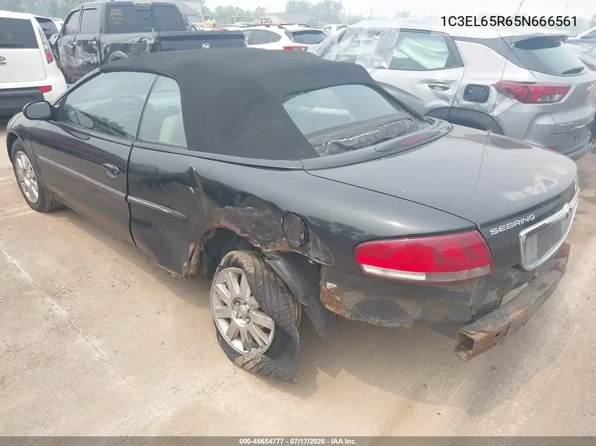 2005 Chrysler Sebring Limited VIN: 1C3EL65R65N666561 Lot: 45654777