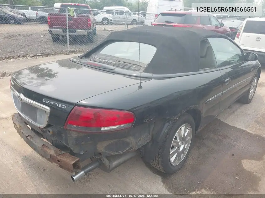 2005 Chrysler Sebring Limited VIN: 1C3EL65R65N666561 Lot: 45654777