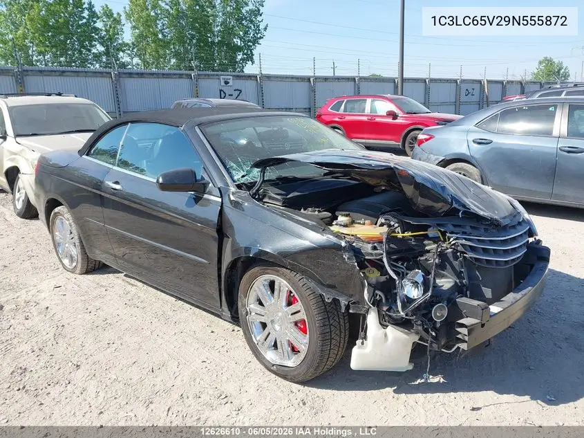 2009 Chrysler Sebring Limited VIN: 1C3LC65V29N555872 Lot: 12626610