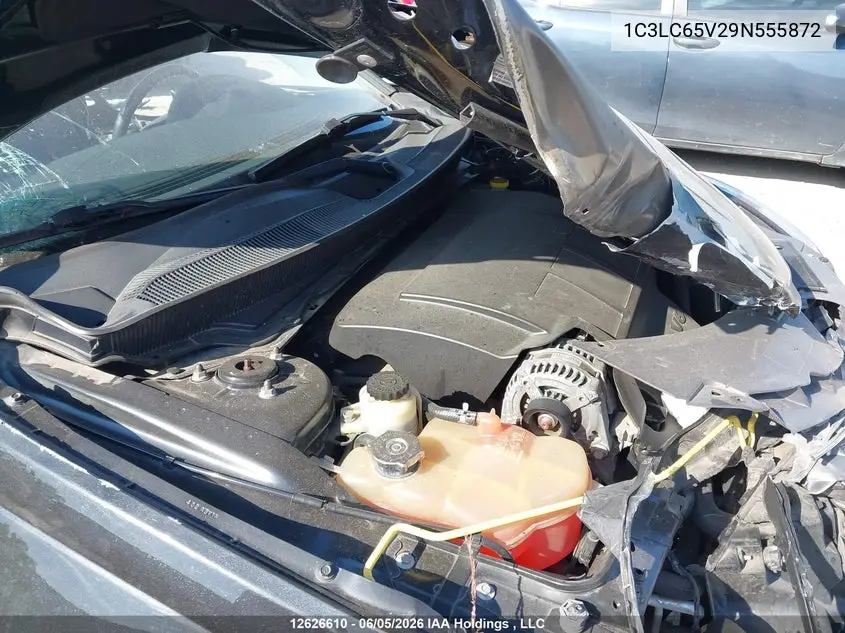 2009 Chrysler Sebring Limited VIN: 1C3LC65V29N555872 Lot: 12626610