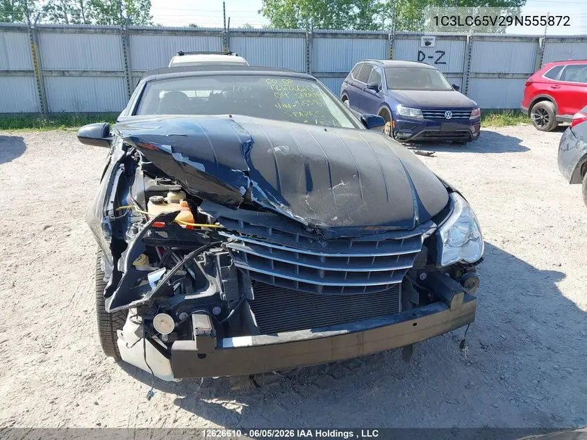 2009 Chrysler Sebring Limited VIN: 1C3LC65V29N555872 Lot: 12626610