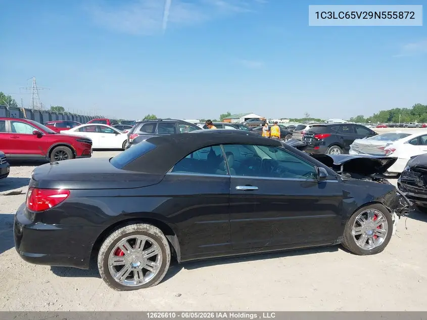 2009 Chrysler Sebring Limited VIN: 1C3LC65V29N555872 Lot: 12626610
