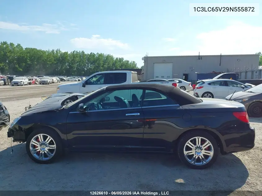 2009 Chrysler Sebring Limited VIN: 1C3LC65V29N555872 Lot: 12626610