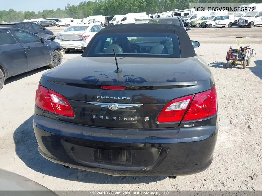 2009 Chrysler Sebring Limited VIN: 1C3LC65V29N555872 Lot: 12626610