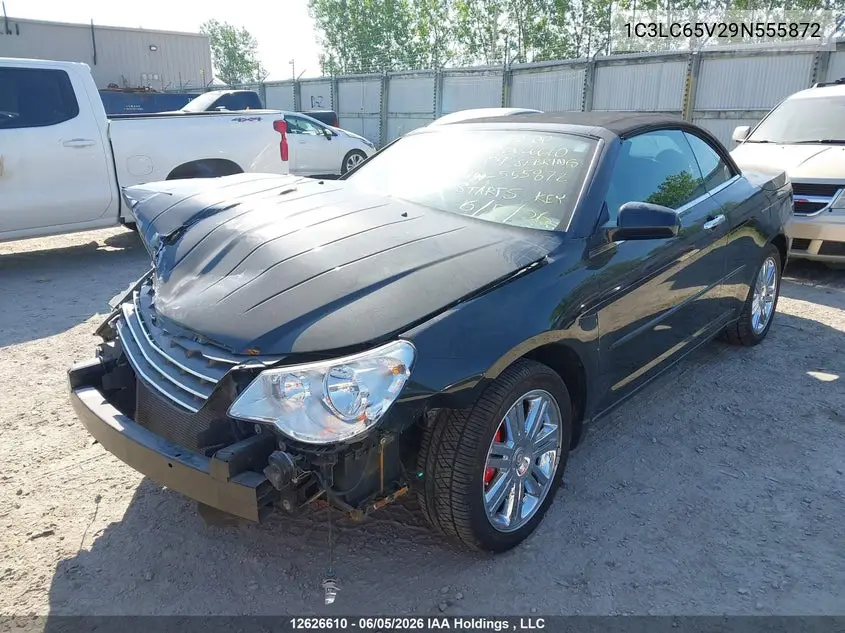 2009 Chrysler Sebring Limited VIN: 1C3LC65V29N555872 Lot: 12626610