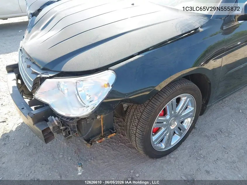 2009 Chrysler Sebring Limited VIN: 1C3LC65V29N555872 Lot: 12626610