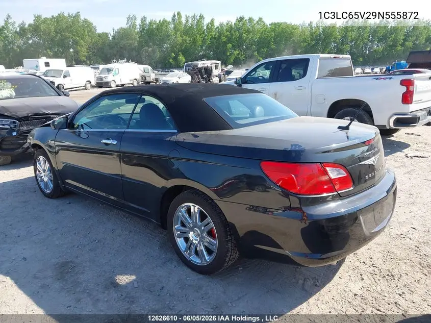2009 Chrysler Sebring Limited VIN: 1C3LC65V29N555872 Lot: 12626610