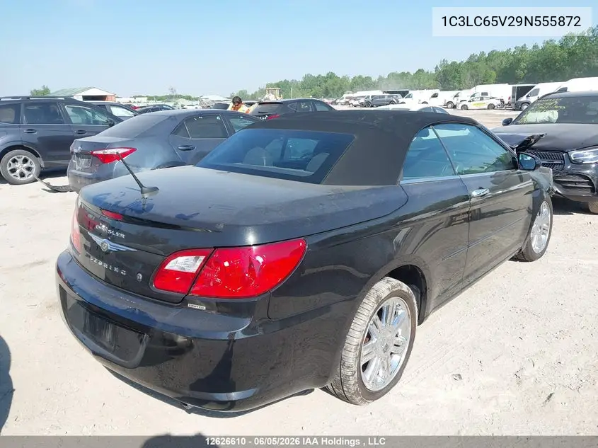 2009 Chrysler Sebring Limited VIN: 1C3LC65V29N555872 Lot: 12626610
