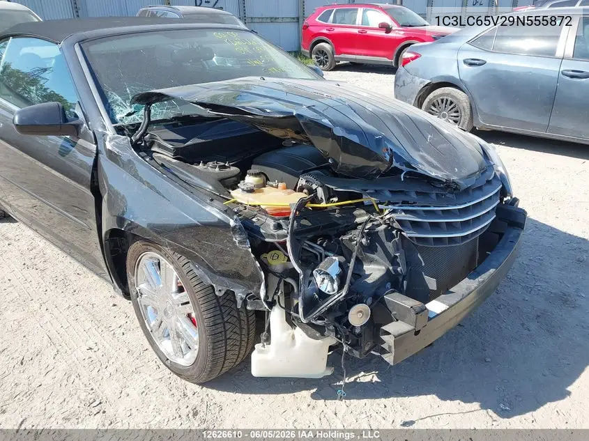 2009 Chrysler Sebring Limited VIN: 1C3LC65V29N555872 Lot: 12626610