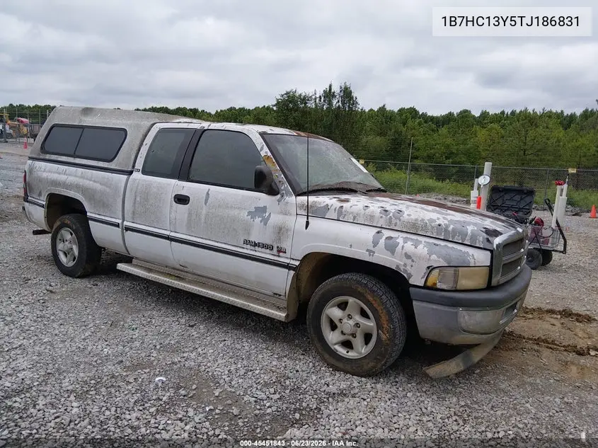 1996 Dodge Ram 1500 VIN: 1B7HC13Y5TJ186831 Lot: 45451843