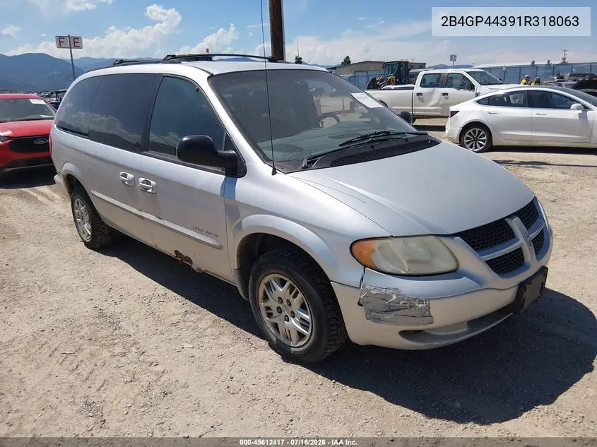 2001 Dodge Grand Caravan Sport VIN: 2B4GP44391R318063 Lot: 45612417