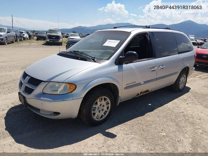 2001 Dodge Grand Caravan Sport VIN: 2B4GP44391R318063 Lot: 45612417
