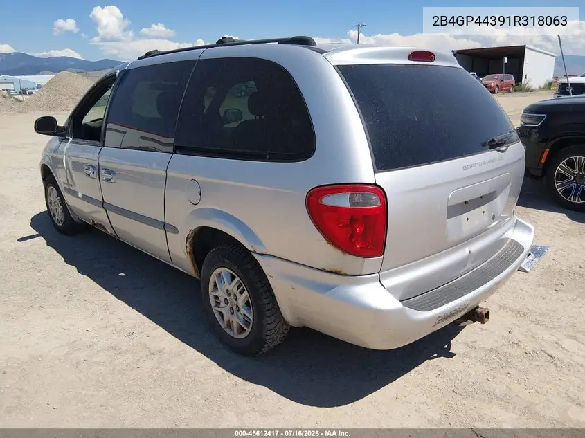 2001 Dodge Grand Caravan Sport VIN: 2B4GP44391R318063 Lot: 45612417