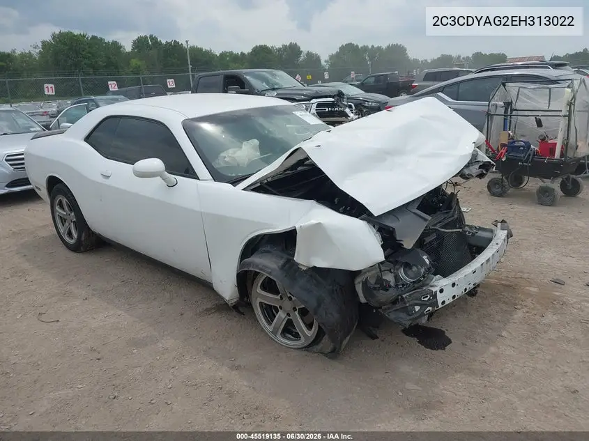 2014 Dodge Challenger Sxt VIN: 2C3CDYAG2EH313022 Lot: 45519135
