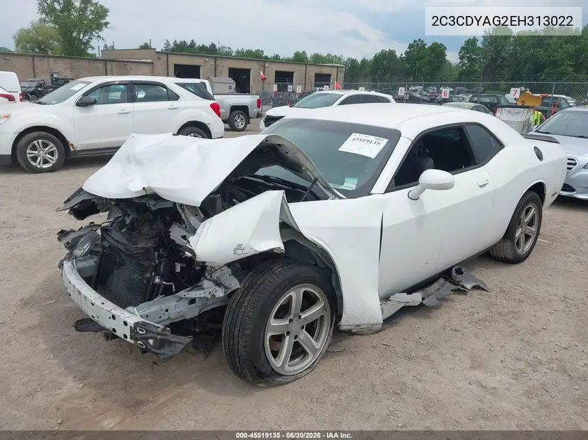 2014 Dodge Challenger Sxt VIN: 2C3CDYAG2EH313022 Lot: 45519135