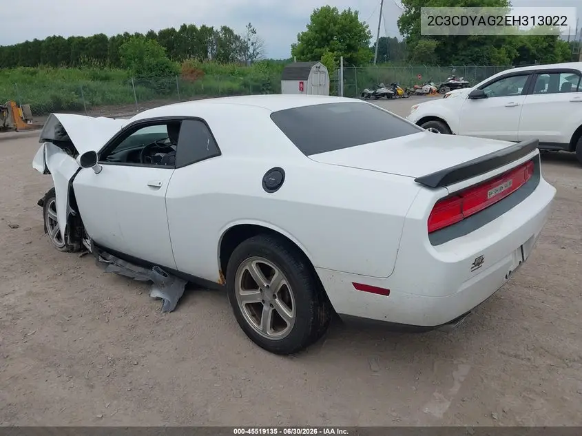 2014 Dodge Challenger Sxt VIN: 2C3CDYAG2EH313022 Lot: 45519135