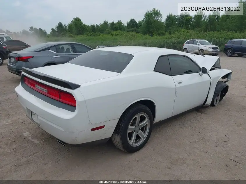 2014 Dodge Challenger Sxt VIN: 2C3CDYAG2EH313022 Lot: 45519135
