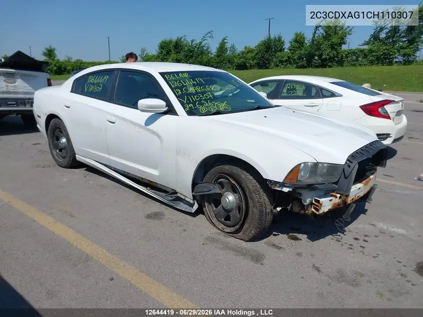 2012 Dodge Charger VIN: 2C3CDXAG1CH110307 Lot: 12644419