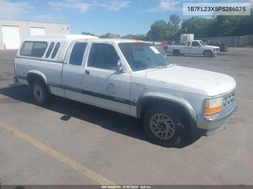 1993 Dodge Dakota VIN: 1B7FL23X5PS286075 Lot: 45566767
