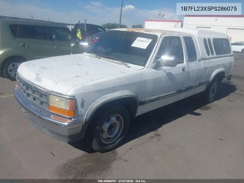 1993 Dodge Dakota VIN: 1B7FL23X5PS286075 Lot: 45566767