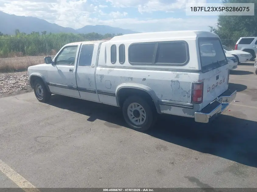 1993 Dodge Dakota VIN: 1B7FL23X5PS286075 Lot: 45566767