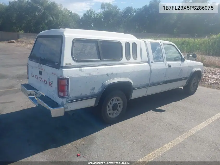 1993 Dodge Dakota VIN: 1B7FL23X5PS286075 Lot: 45566767