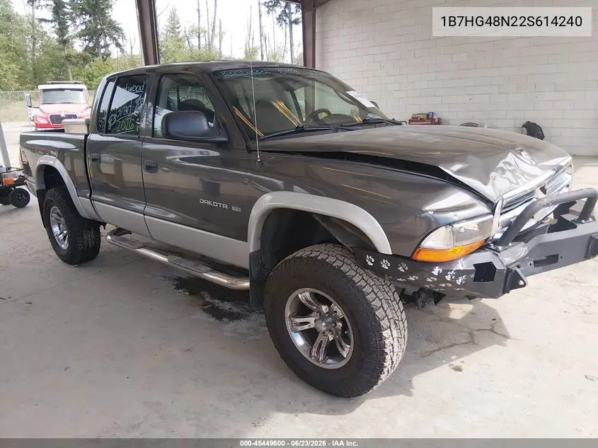 2002 Dodge Dakota Slt VIN: 1B7HG48N22S614240 Lot: 45449600