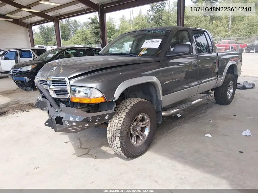 2002 Dodge Dakota Slt VIN: 1B7HG48N22S614240 Lot: 45449600