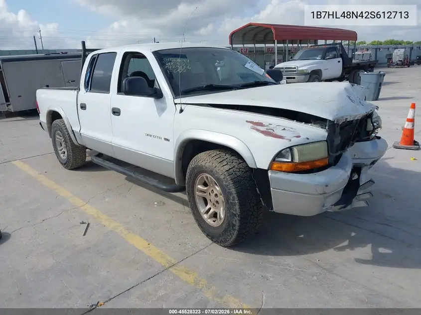 2002 Dodge Dakota Slt VIN: 1B7HL48N42S612713 Lot: 45528323