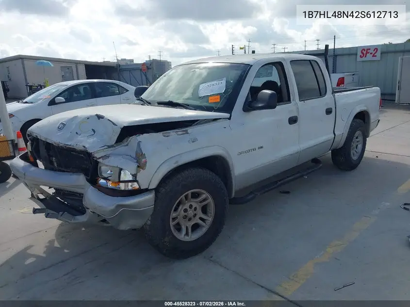 2002 Dodge Dakota Slt VIN: 1B7HL48N42S612713 Lot: 45528323
