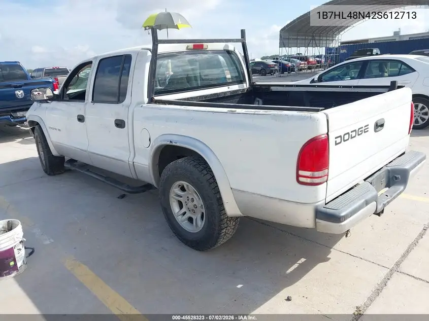 2002 Dodge Dakota Slt VIN: 1B7HL48N42S612713 Lot: 45528323