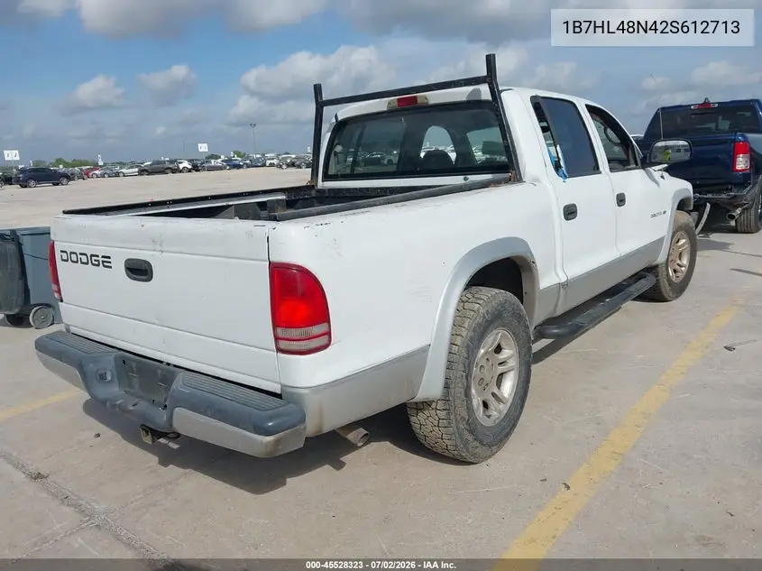 2002 Dodge Dakota Slt VIN: 1B7HL48N42S612713 Lot: 45528323