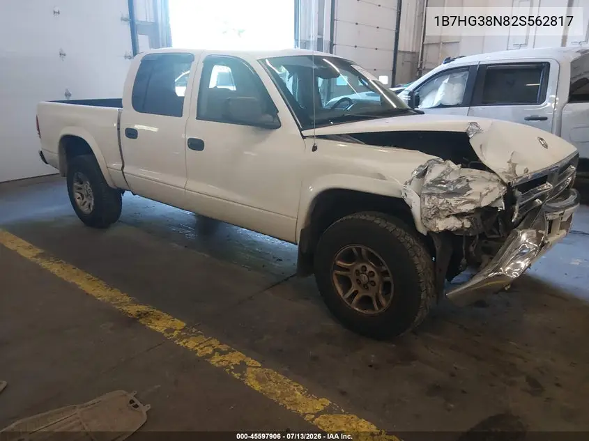 2002 Dodge Dakota Sport VIN: 1B7HG38N82S562817 Lot: 45597906