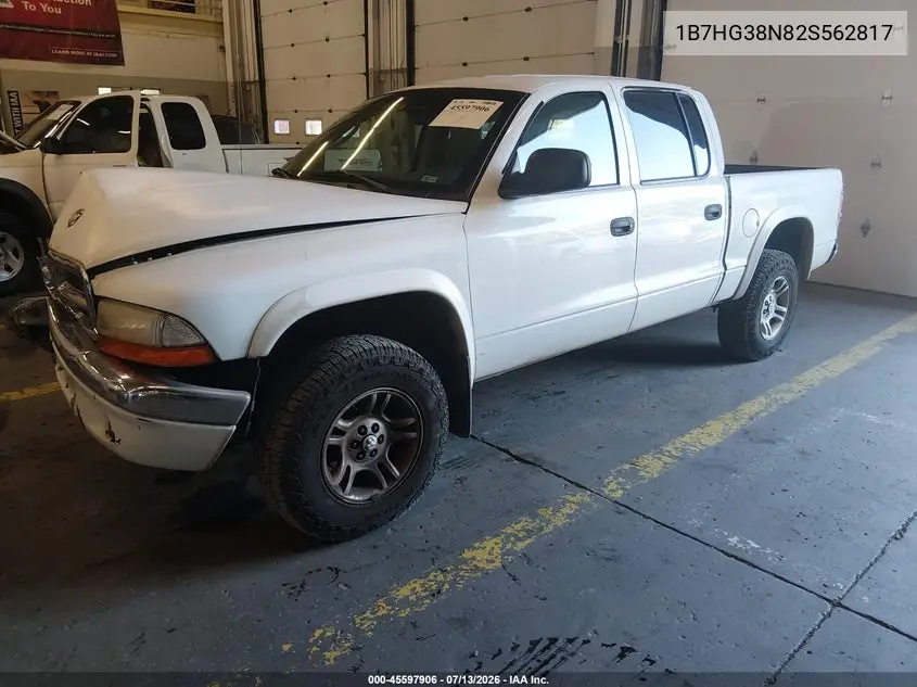 2002 Dodge Dakota Sport VIN: 1B7HG38N82S562817 Lot: 45597906