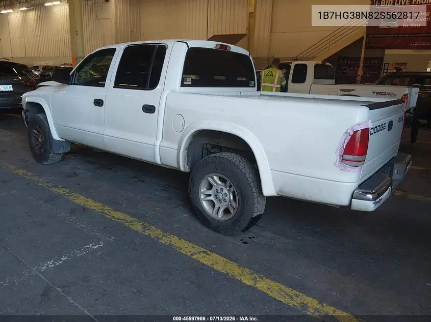 2002 Dodge Dakota Sport VIN: 1B7HG38N82S562817 Lot: 45597906