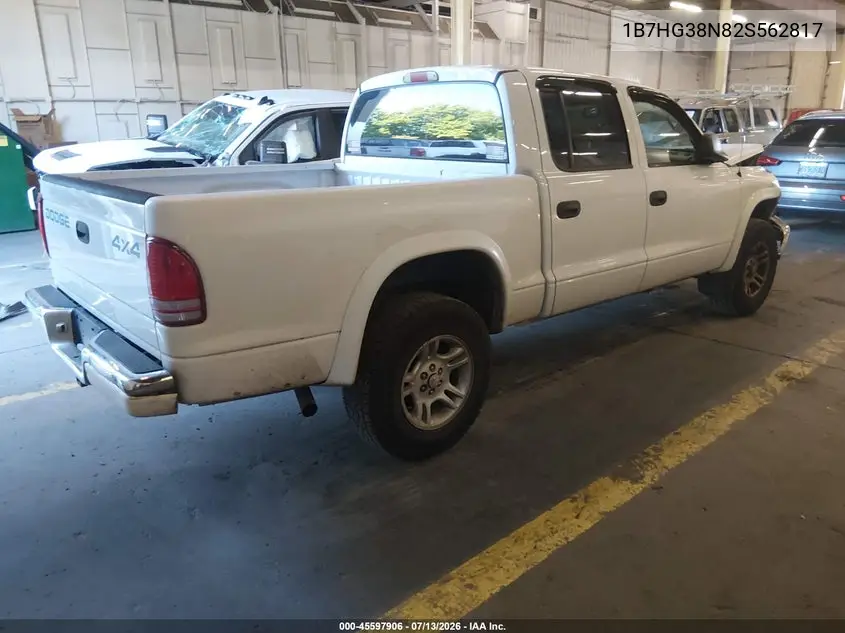 2002 Dodge Dakota Sport VIN: 1B7HG38N82S562817 Lot: 45597906