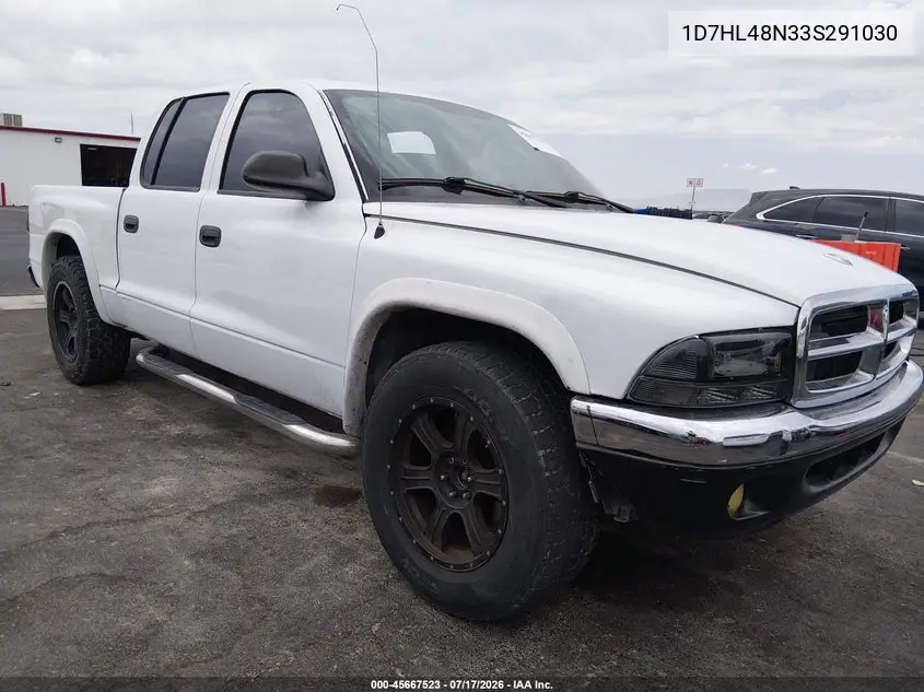 2003 Dodge Dakota Slt VIN: 1D7HL48N33S291030 Lot: 45667523