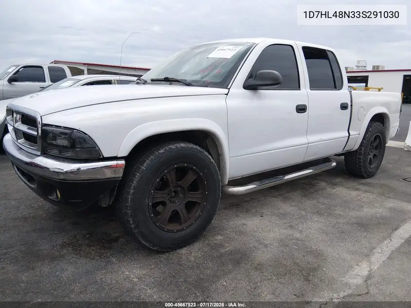 2003 Dodge Dakota Slt VIN: 1D7HL48N33S291030 Lot: 45667523