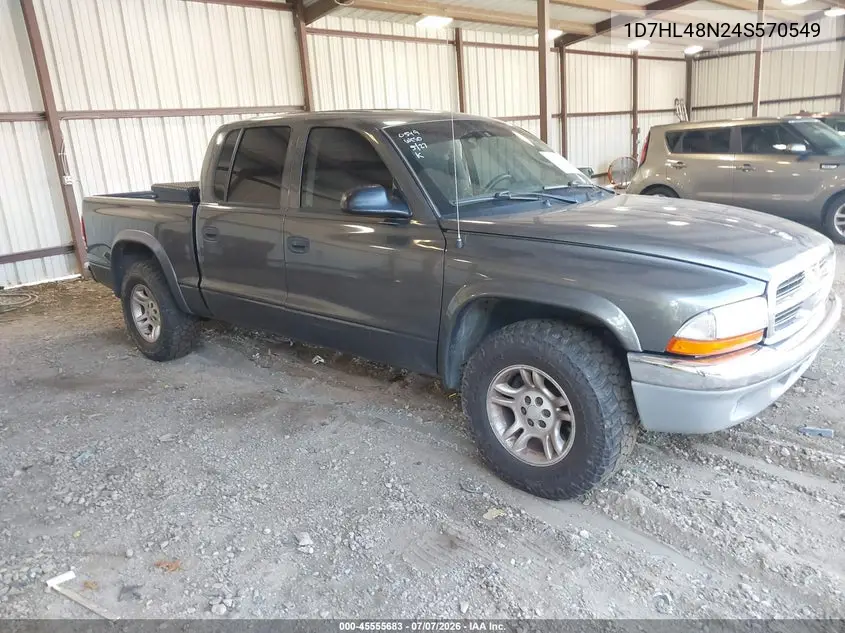2004 Dodge Dakota Slt VIN: 1D7HL48N24S570549 Lot: 45555683