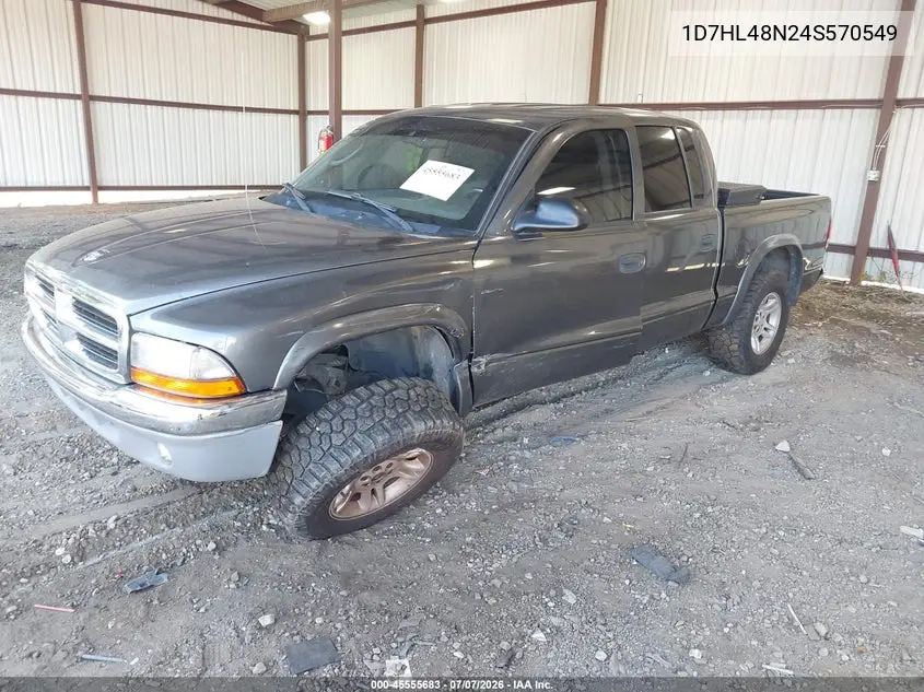 2004 Dodge Dakota Slt VIN: 1D7HL48N24S570549 Lot: 45555683