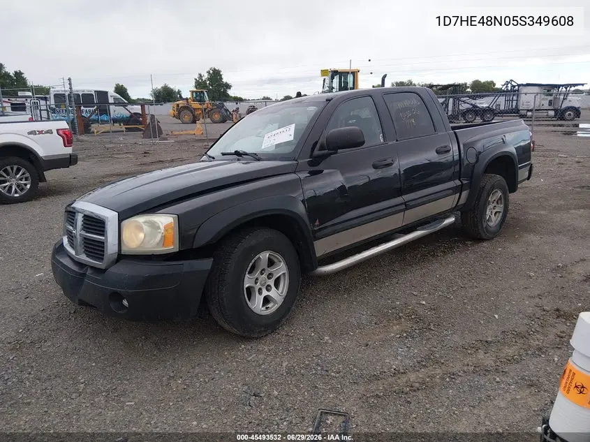 2005 Dodge Dakota Slt VIN: 1D7HE48N05S349608 Lot: 45493532