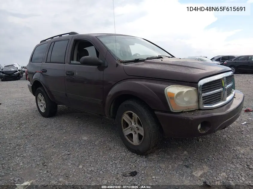 2005 Dodge Durango Slt VIN: 1D4HD48N65F615691 Lot: 45651030