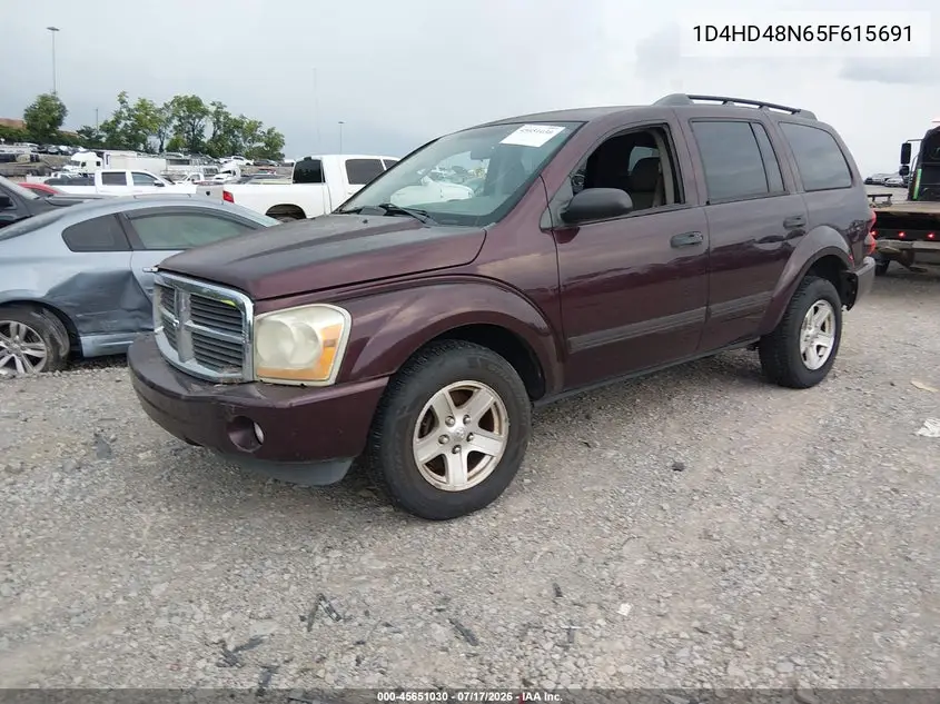 2005 Dodge Durango Slt VIN: 1D4HD48N65F615691 Lot: 45651030