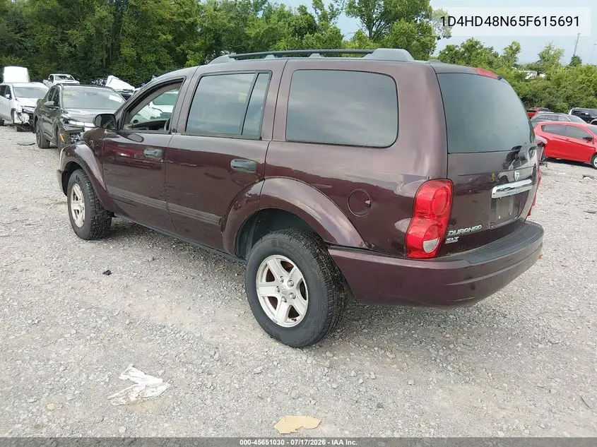 2005 Dodge Durango Slt VIN: 1D4HD48N65F615691 Lot: 45651030