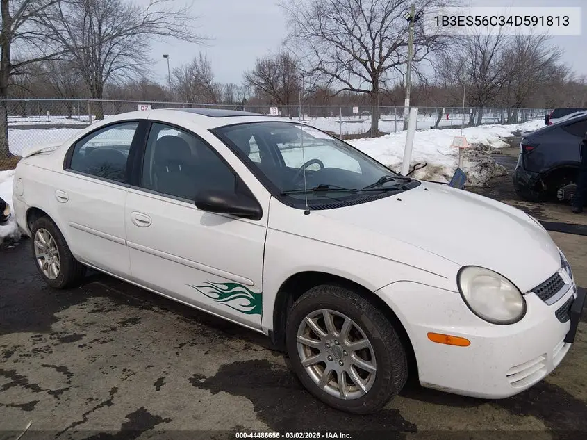 2004 Dodge Neon Sxt VIN: 1B3ES56C34D591813 Lot: 44486656